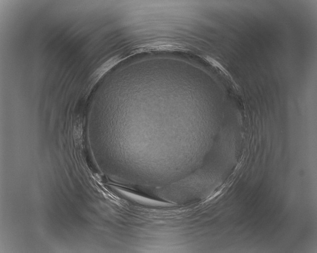 X0000051241065200507011620