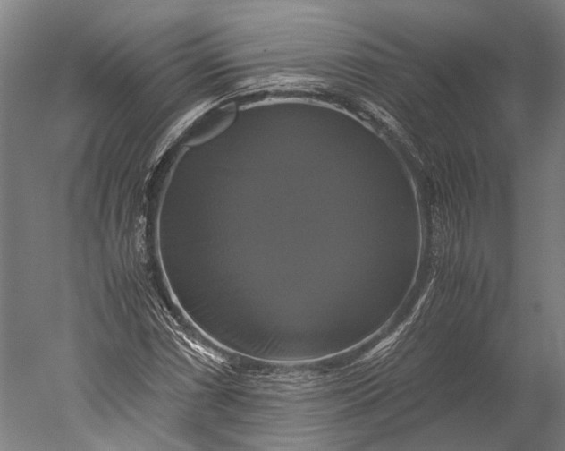 X0000051241066200507011620