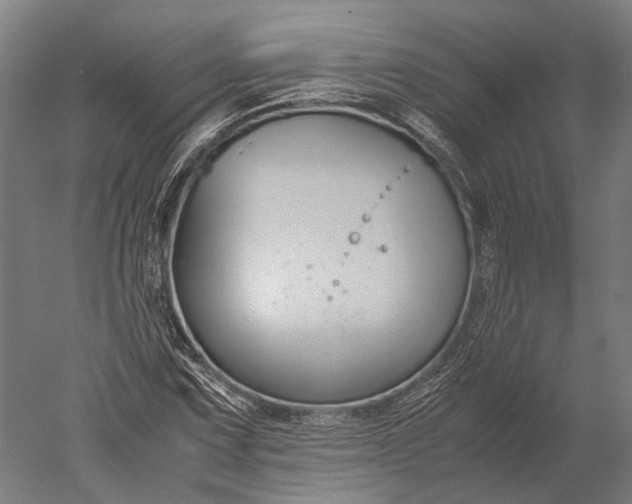 X0000051241067200507011620