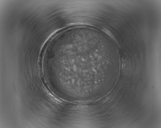 X0000051241068200507011620