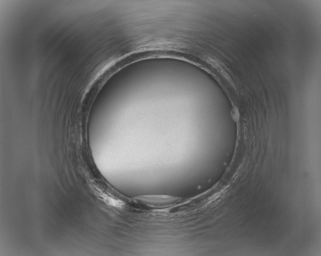 X0000051241069200507011620