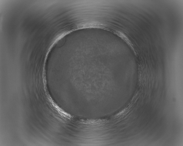 X0000051241072200507011620