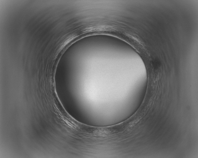 X0000051241073200507011620