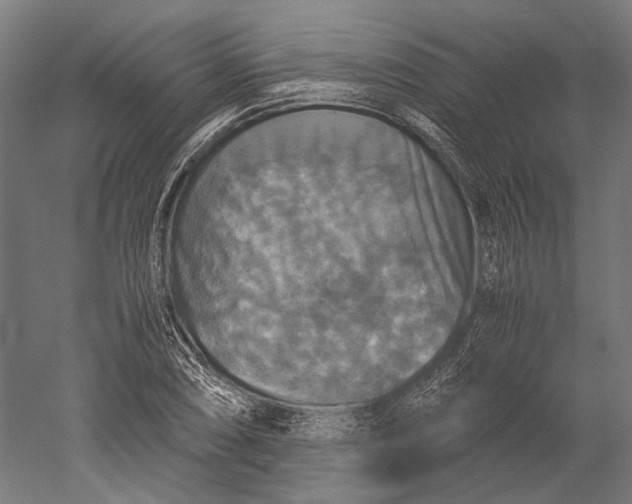 X0000051241074200507011620