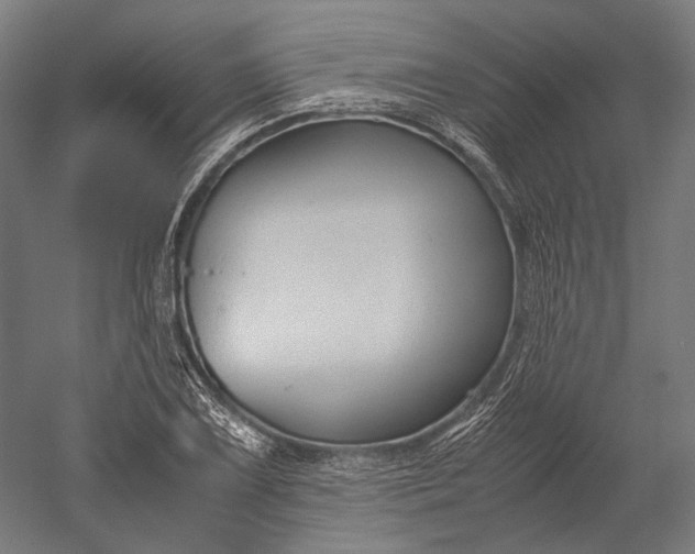 X0000051241075200507011620