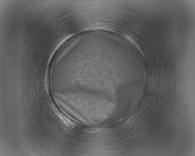 X0000051241076200507011620