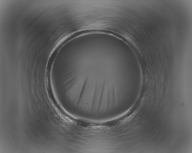 X0000051241077200507011620