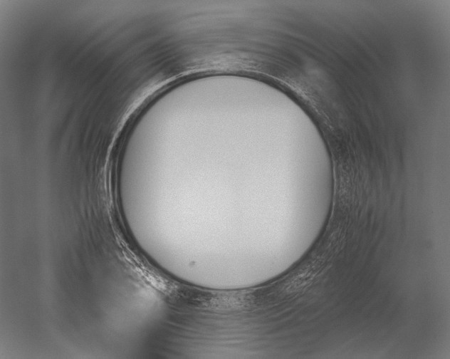 X0000051241078200507011620