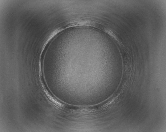 X0000051241079200507011620