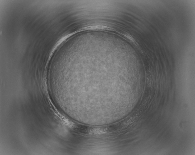 X0000051241086200507011620