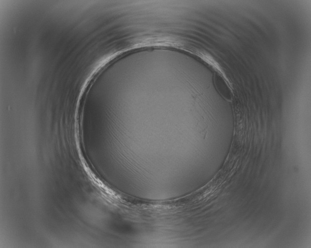 X0000051241088200507011620