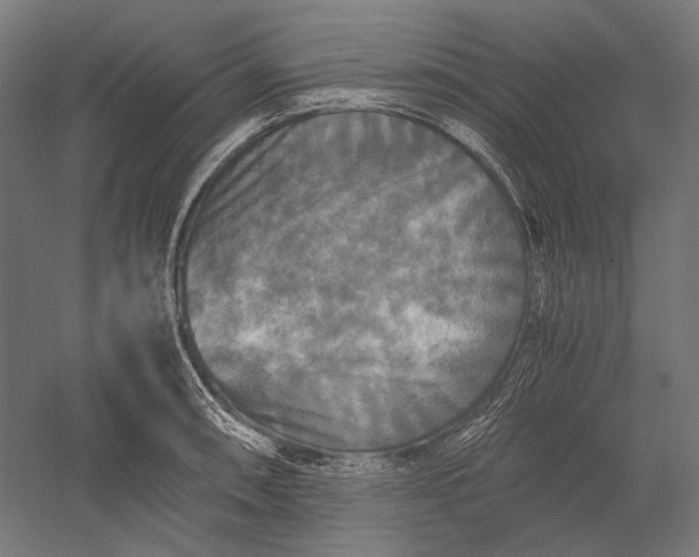 X0000051241090200507011620