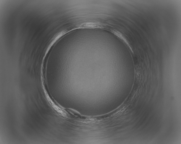 X0000051241091200507011620