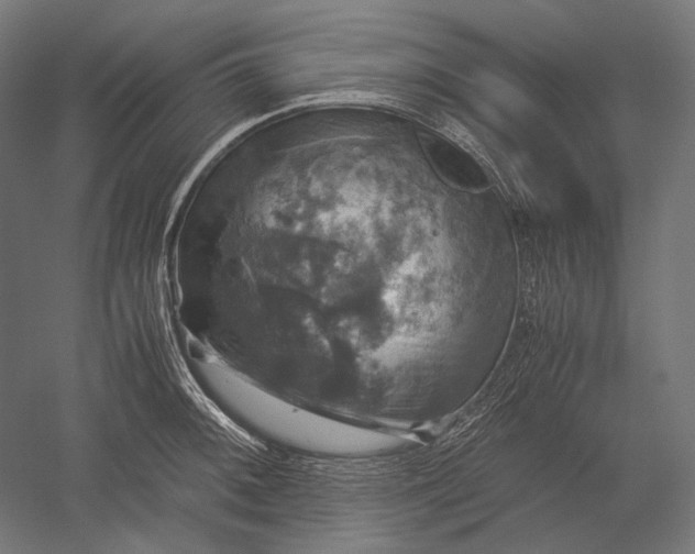 X0000051241092200507011619