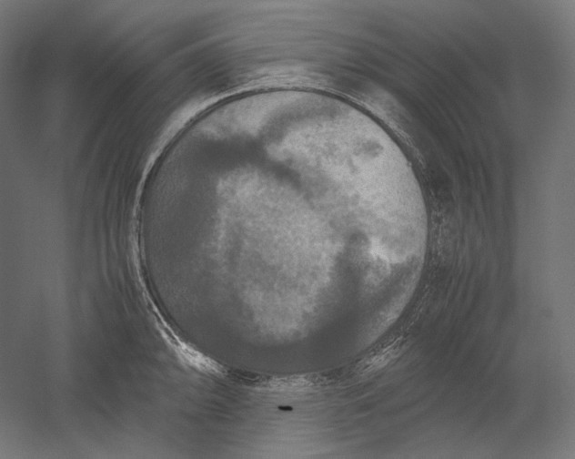 X0000051241094200507011619