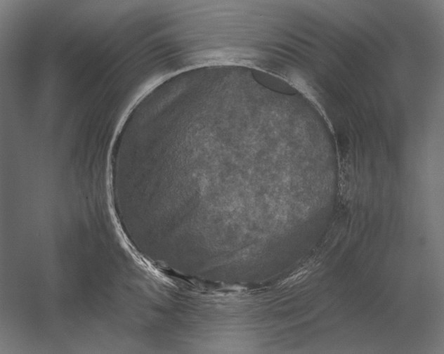 X0000051241096200507011619