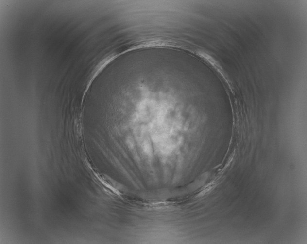 X0000051241097200507011619