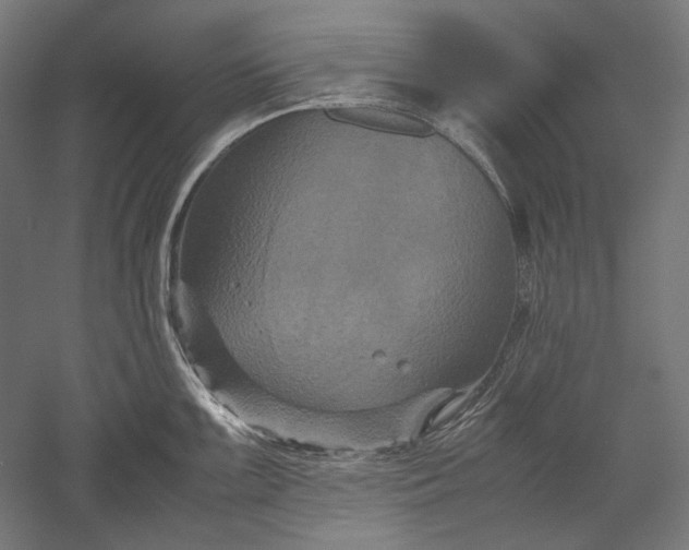 X0000051241099200507011619