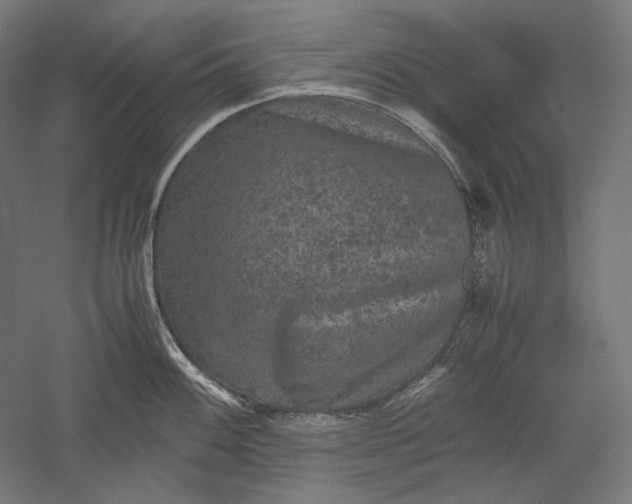 X0000051241100200507011619