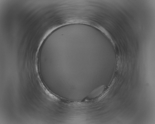 X0000051241102200507011619