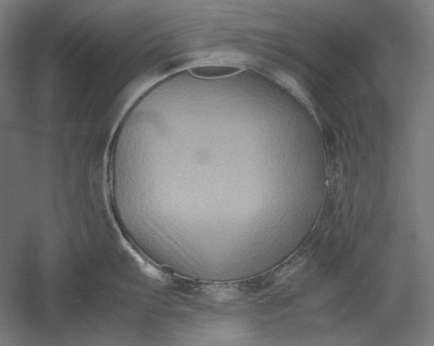 X0000051241103200507011619