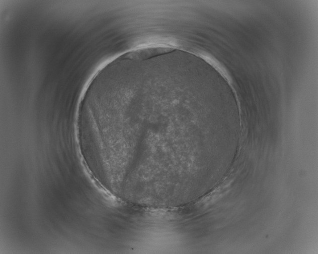 X0000051241104200507011619