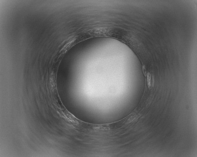 X0000051241107200507011619