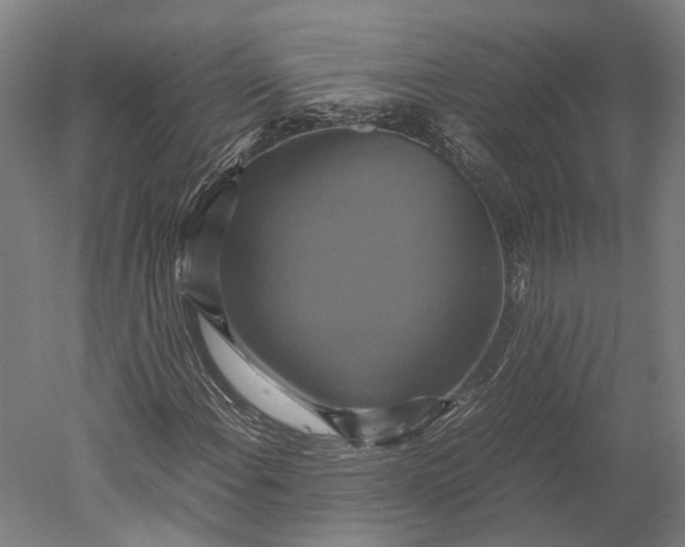 X0000051241108200507011619