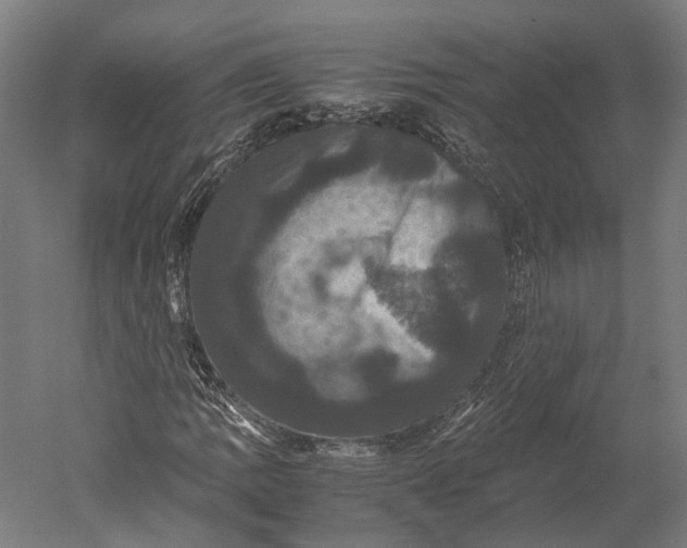 X0000051241109200507011619