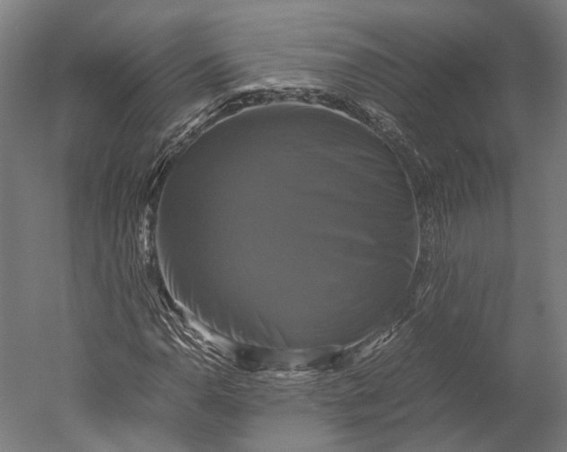 X0000051241110200507011619