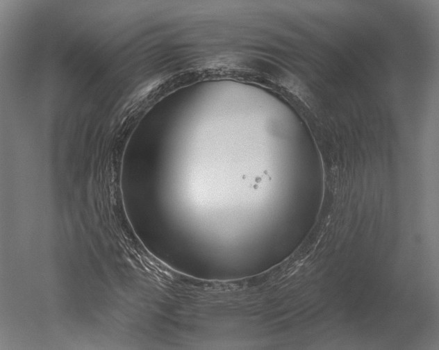 X0000051241111200507011619