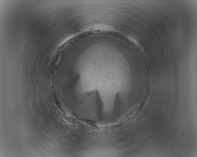 X0000051241112200507011619