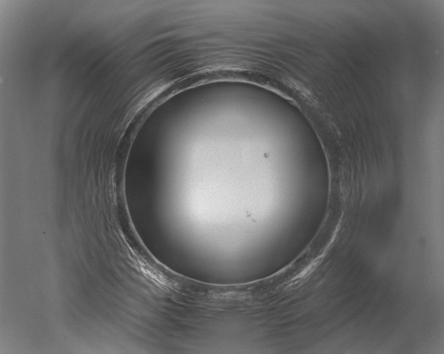 X0000051241113200507011619