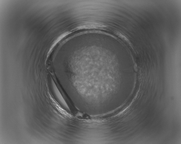 X0000051241114200507011619