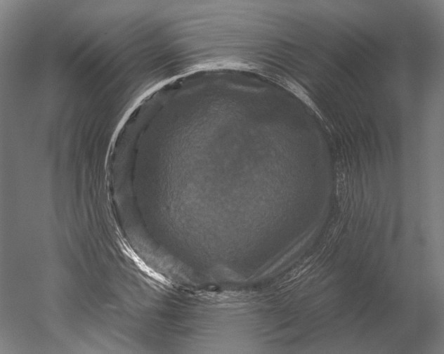 X0000051241116200507011619