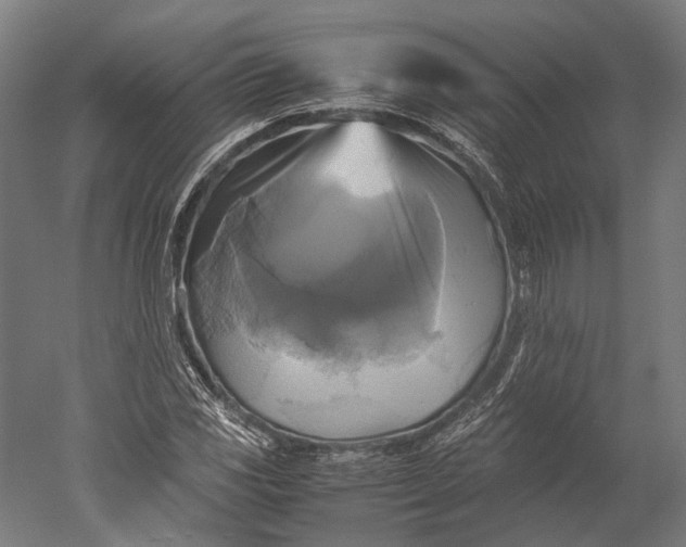 X0000051241117200507011619