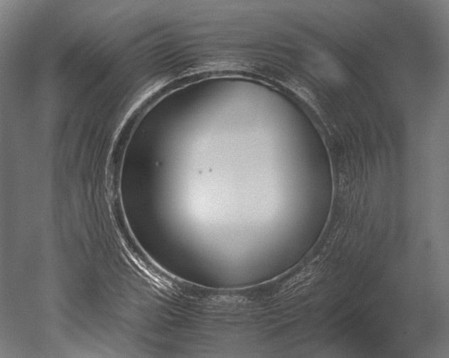 X0000051241119200507011619