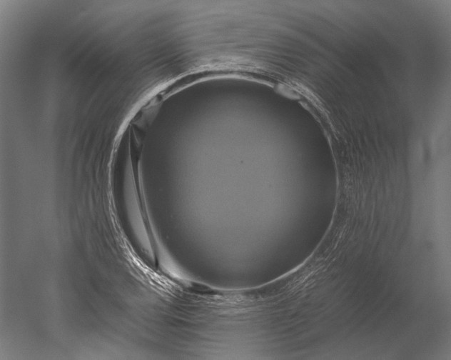 X0000051241120200507011619