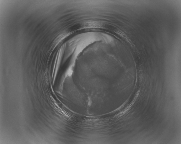 X0000051241121200507011619