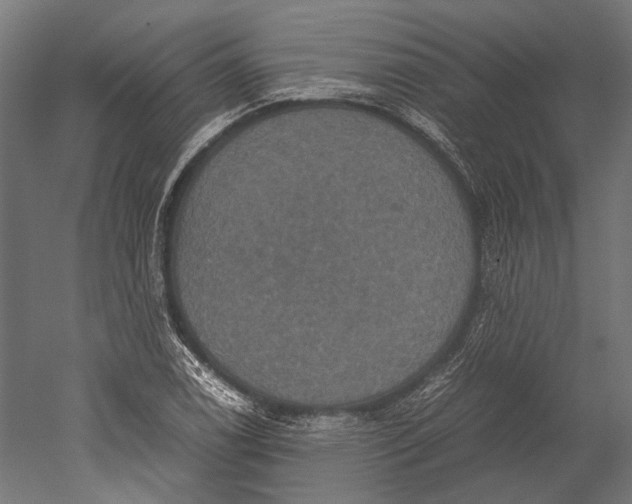 X0000051241122200507011619