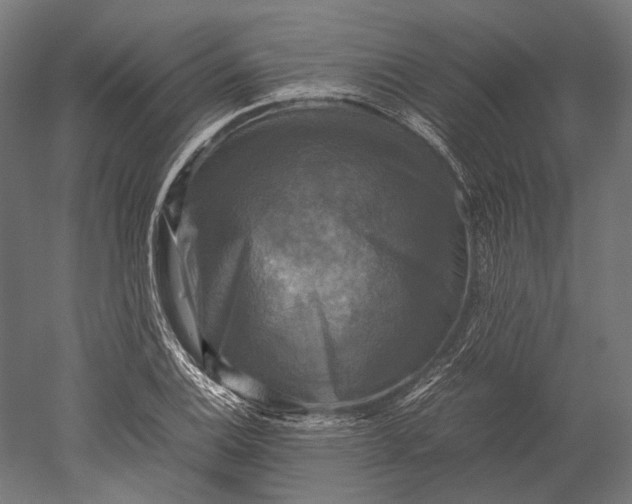 X0000051241124200507011619