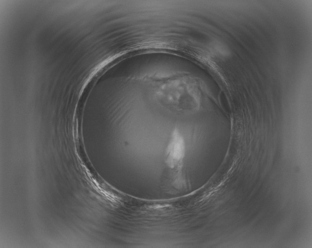 X0000051241125200507011619