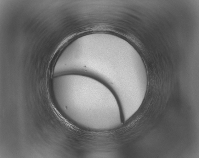 X0000051241126200507011619