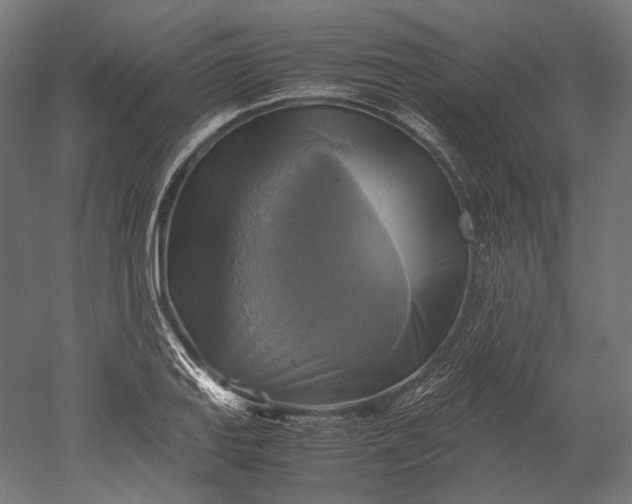 X0000051241127200507011619