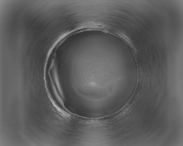 X0000051241128200507011619