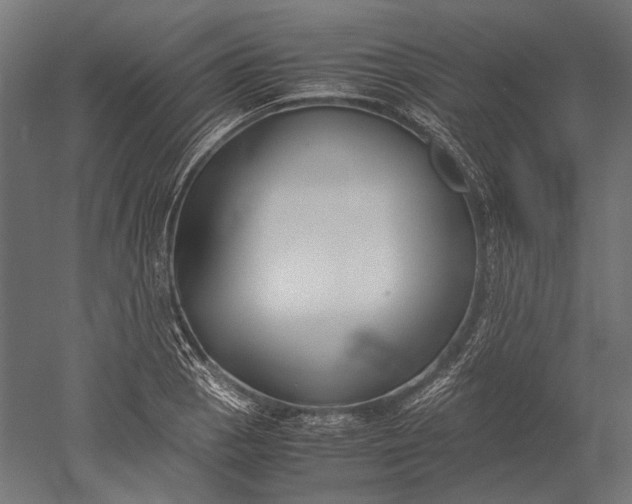 X0000051241129200507011619