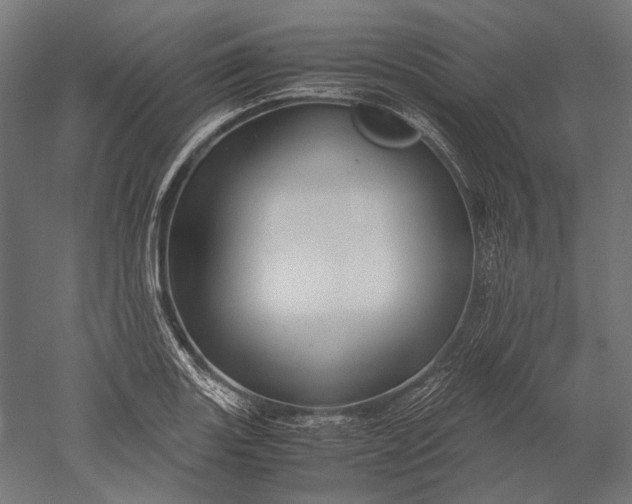 X0000051241131200507011619