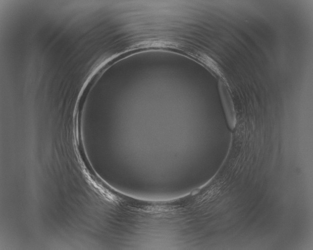 X0000051241132200507011619