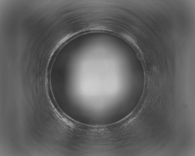 X0000051241133200507011619