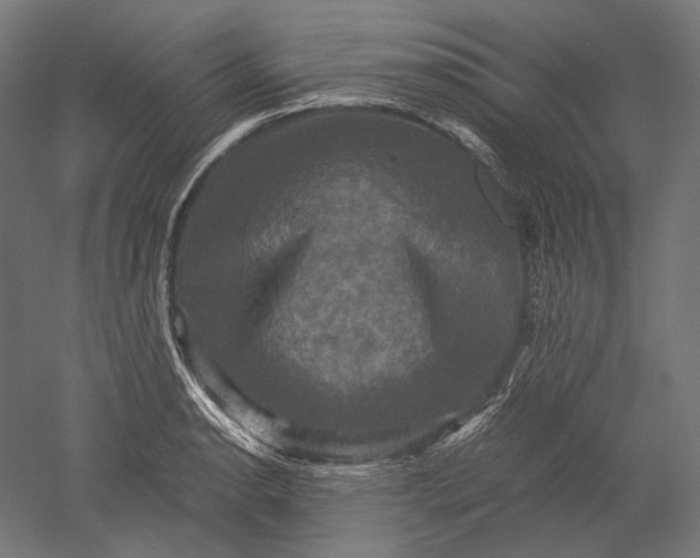 X0000051241134200507011619